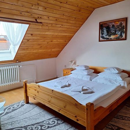 Vila Gabriel Bed & Breakfast Nova Lesna Exterior photo